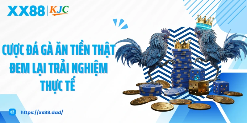 Cược đá gà ăn tiền thật đem lại trải nghiệm thực tế
