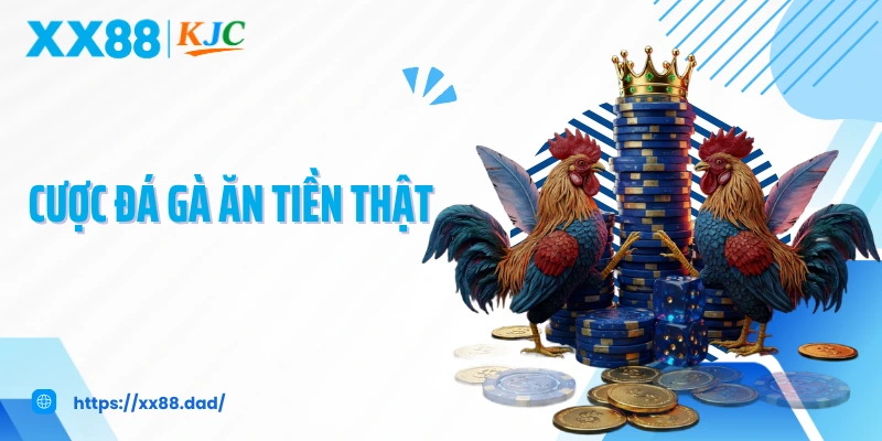 Cược Đá Gà Ăn Tiền Thật