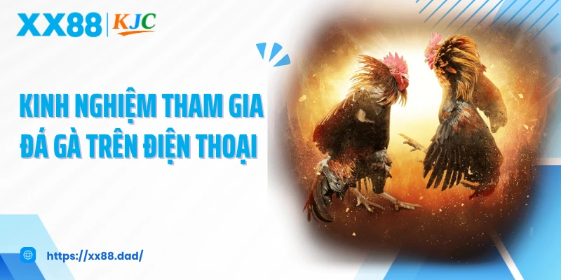Kinh nghiệm tham gia đá gà trên điện thoại 