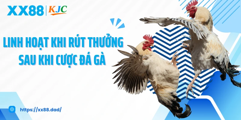 Linh hoạt khi rút thưởng sau khi cược đá gà