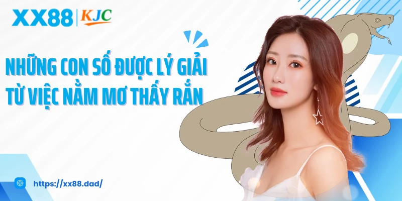 Những con số được lý giải từ việc nằm mơ thấy rắn 