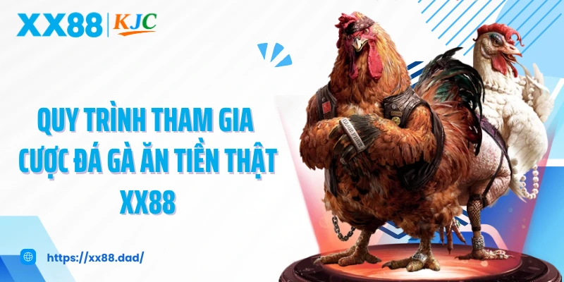 Quy trình tham gia cược đá gà ăn tiền thật XX88