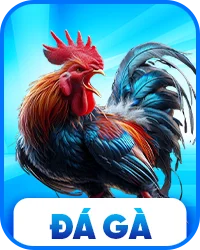 baner đá gà