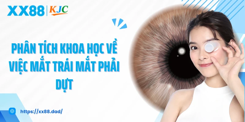 Phân tích khoa học về việc mắt trái mắt phải dựt